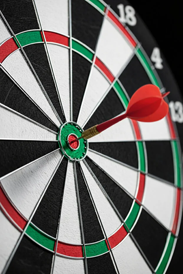 17 İnç Çift Taraflı Dart Tahtası Seti – 6 Çelik Uçlu Ok, Ev ve Ofis İçin Dart Oyunu